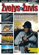 Žvejys ir žuvis