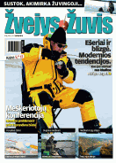 Žvejys ir žuvis