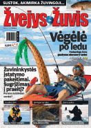 Žvejys ir žuvis